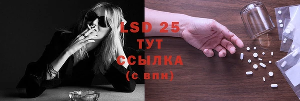 хмурый Нея