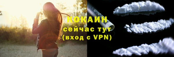 хмурый Нея