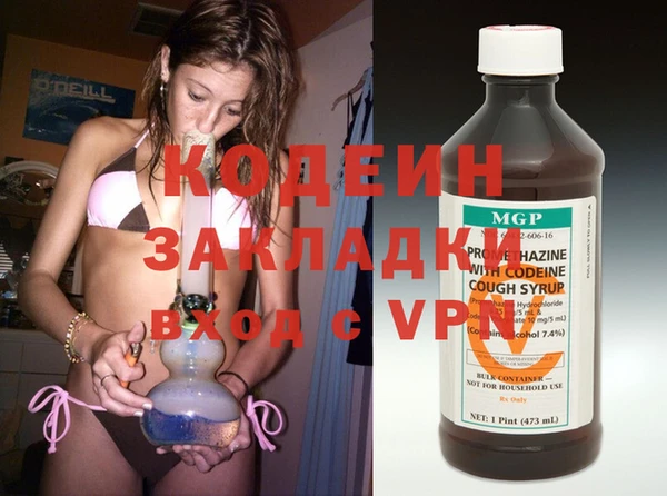 хмурый Нея