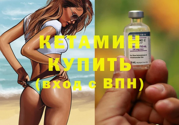 индика Видное